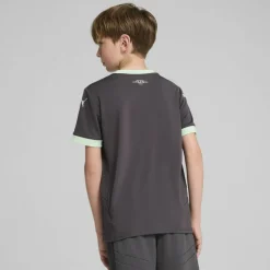 AC Milan Third Shirt 2024 2025 Juniors