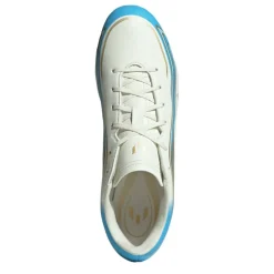 Adidas F50 .4 FG Sn72