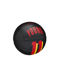 Adults Player Mini Basketballs