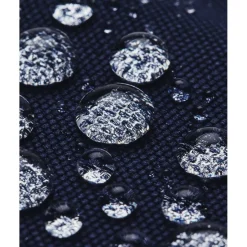 Adults Triumph Campus Backpack