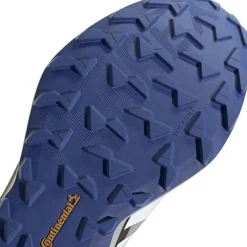 Agravic Gore-Tex Trail Running Shoes
