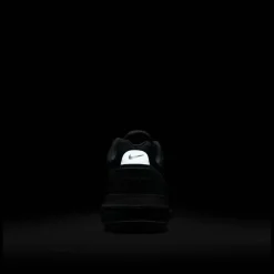Air Max Pulse