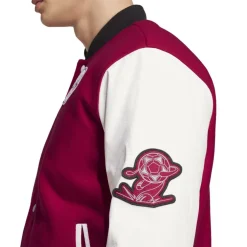 Ajax Amsterdam Graphic Jacket Adults