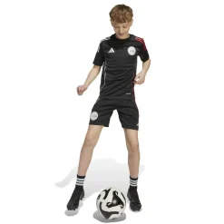Ajax Training Top 2025 2026 Juniors