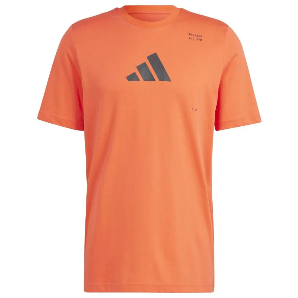 All-Gym Category Graphic T-Shirt Mens