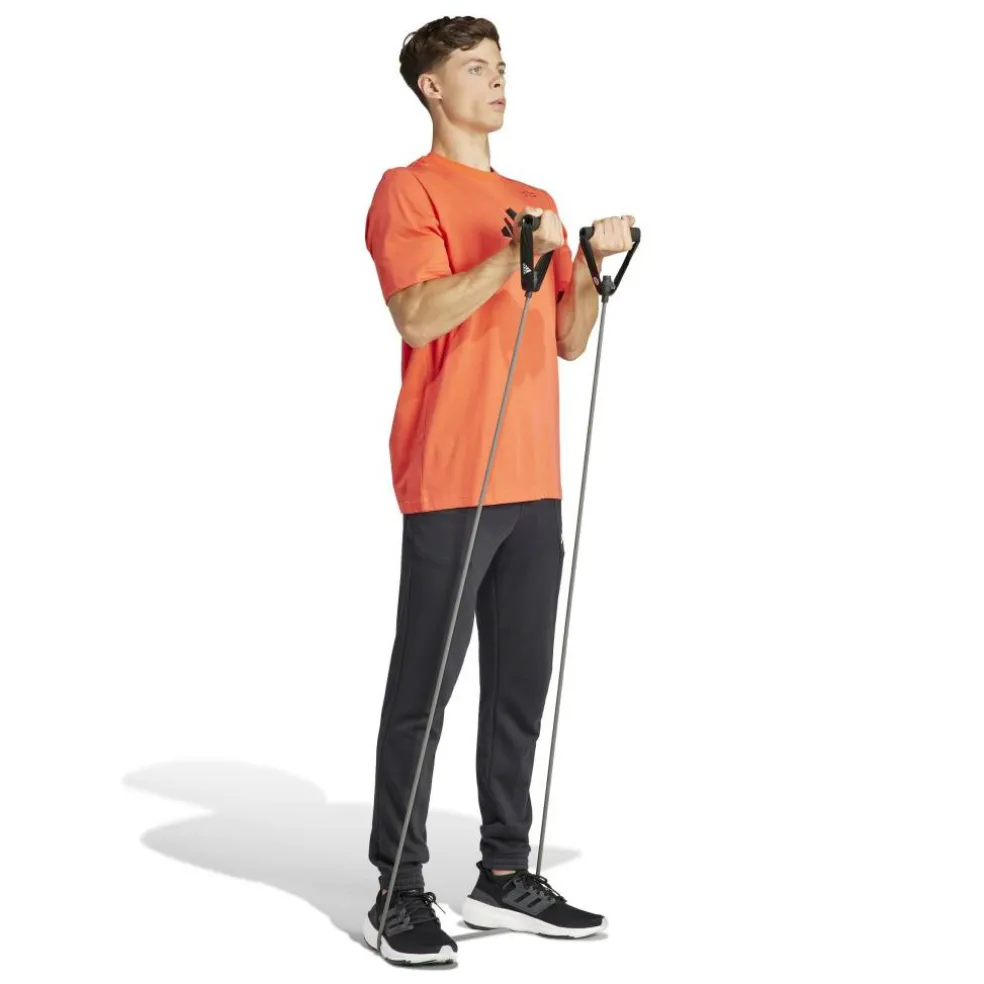 All-Gym Category Graphic T-Shirt Mens
