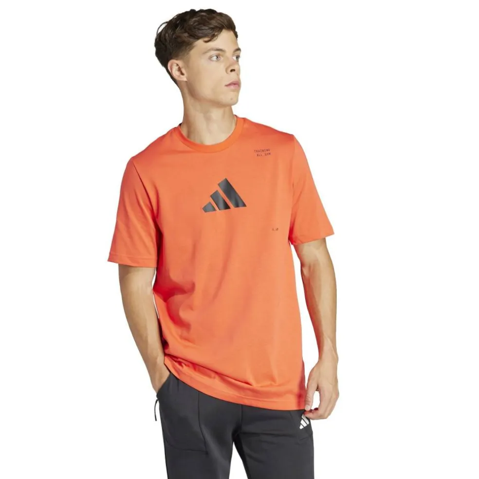 All-Gym Category Graphic T-Shirt Mens