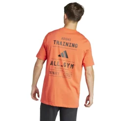 All-Gym Category Graphic T-Shirt Mens