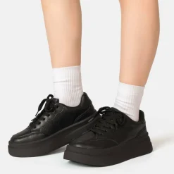 Ari Trainers