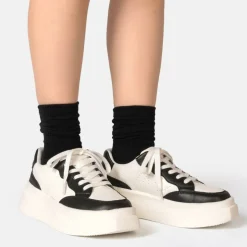 Ari Trainers