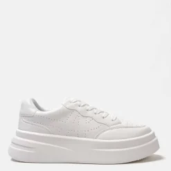 Ari Trainers