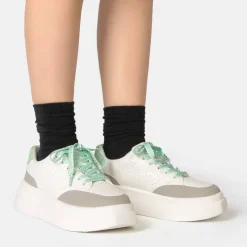 Ari Trainers