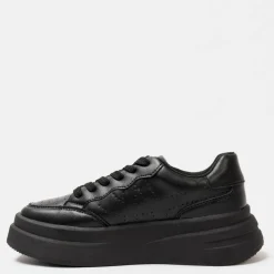 Ari Trainers