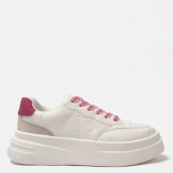 Ari Trainers