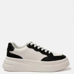 Ari Trainers