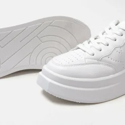 Ari Trainers