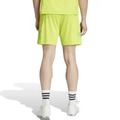 Arsenal Goalkeeper Shorts 2024 2025 Adults