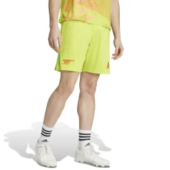 Arsenal Goalkeeper Shorts 2024 2025 Adults