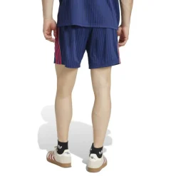 Arsenal 2024 2025 Icon Shorts Adults