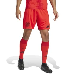 Bayern Munich Home Shorts 2024 2025 Adults