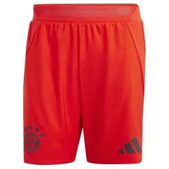 Bayern Munich Home Shorts 2024 2025 Adults