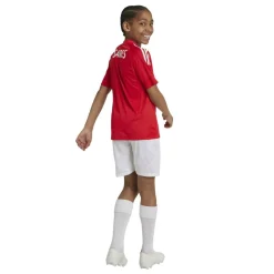 Benfica Home Kit 24/25 Juniors