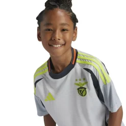 Benfica Third Shirt 2024 2025 Juniors