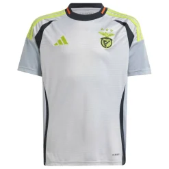 Benfica Third Shirt 2024 2025 Juniors