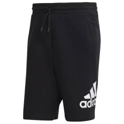 Big Logo French Terry Shorts Mens