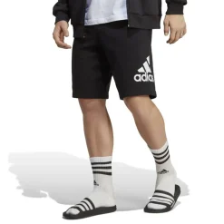 Big Logo French Terry Shorts Mens