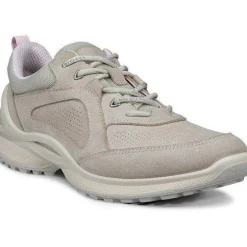 Biom Energi