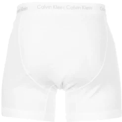 Boxer Briefs (x1)