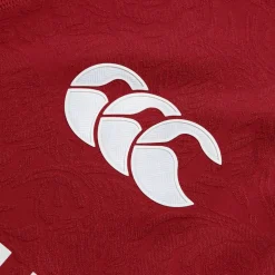 British & Irish Lions 2025 Authentic Shirt Mens