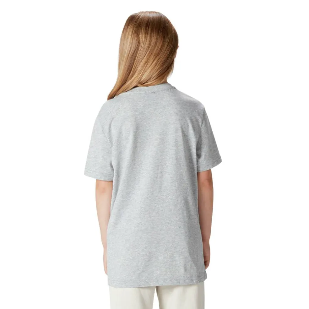 British & Irish Lions Momentum T-Shirt 2025 Juniors