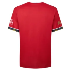 British & Irish Lions Shirt 2025 Mens