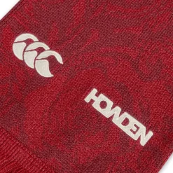 British and Irish Lions 2025 Supporters Scarf Adults
