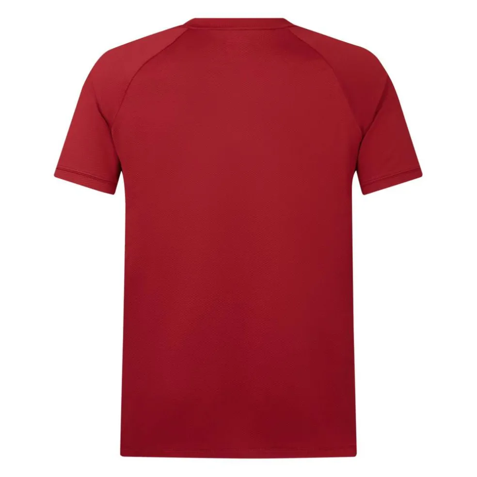 British and Irish Lions Polo Shirt 2025 Adults
