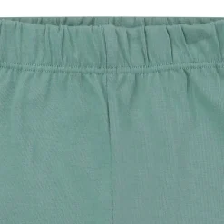 Bunting Leggings