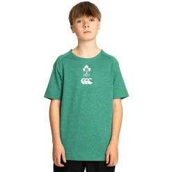 Canterbury Ireland IRFU Training T-Shirt Junior