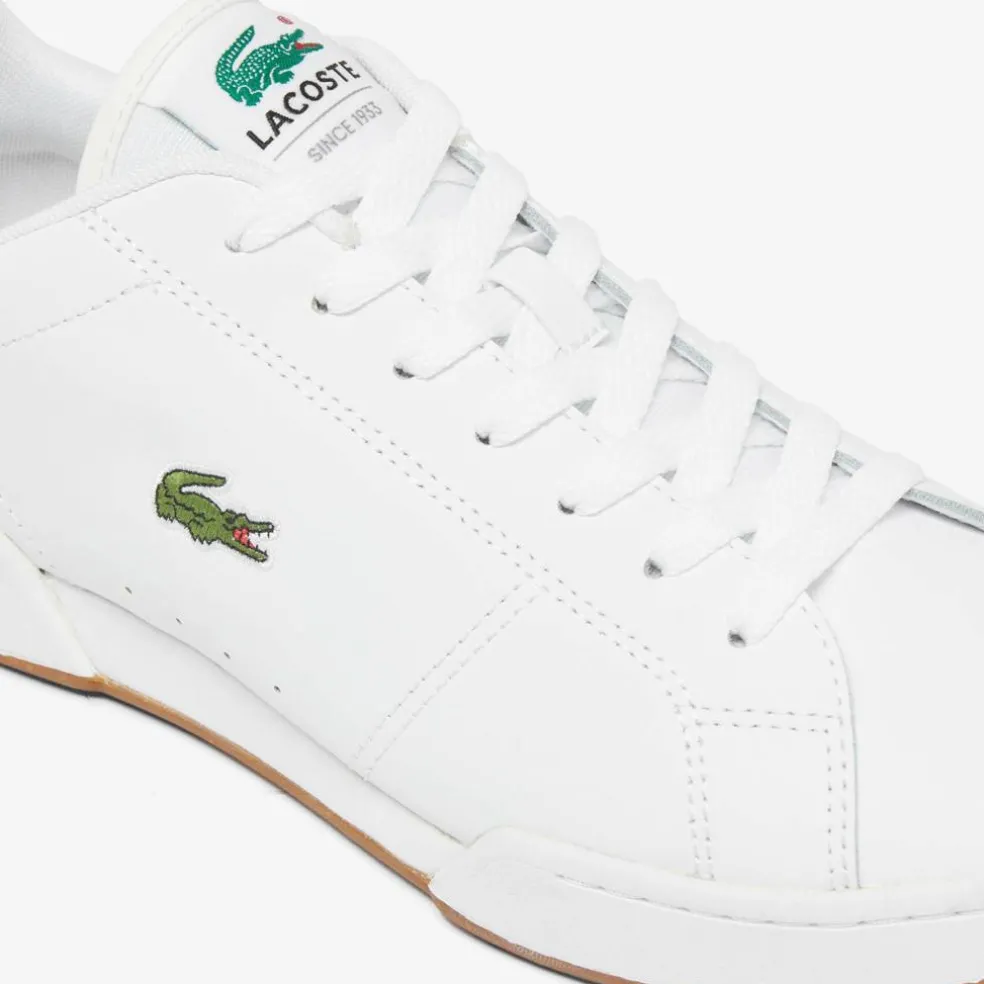 Carnaby Cup Leather Sneakers