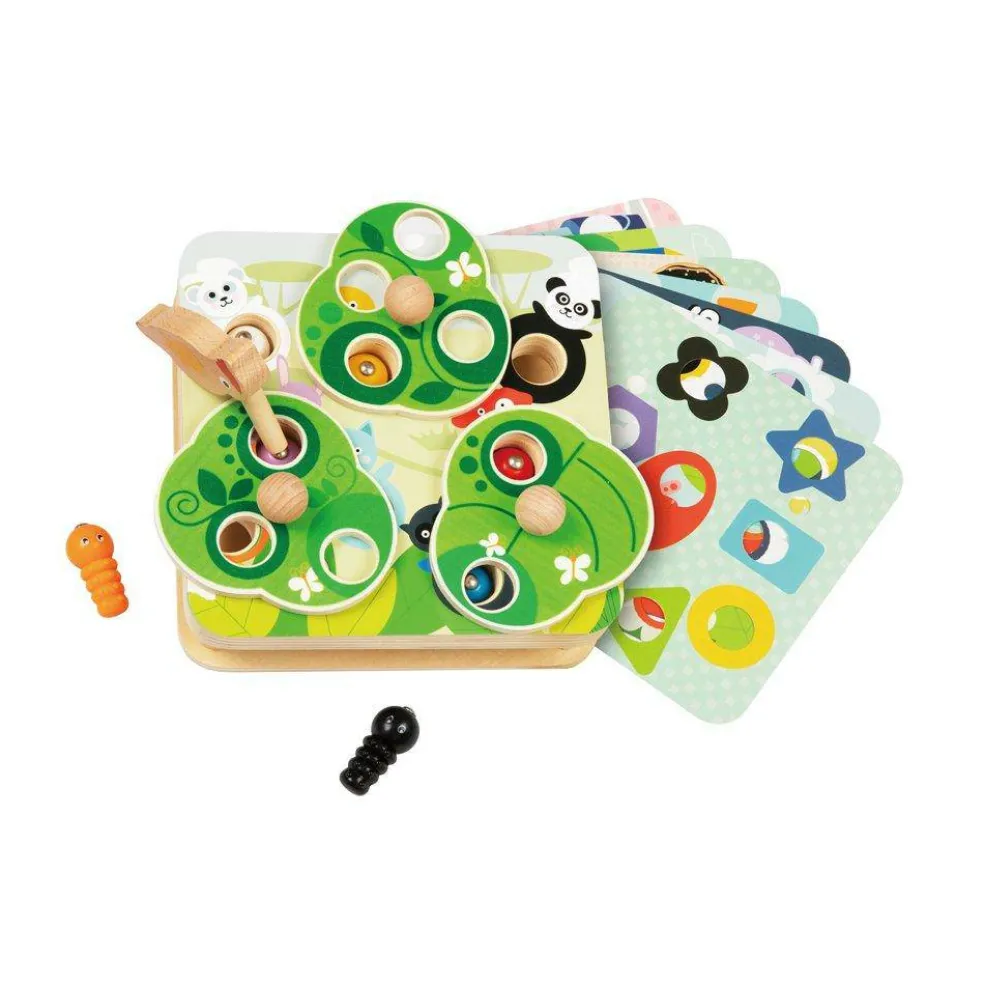 Catch & Insect Game