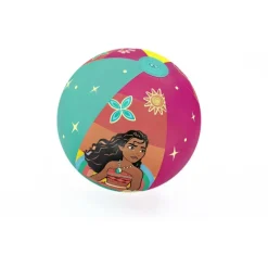 Character Inflatable Beach Ball