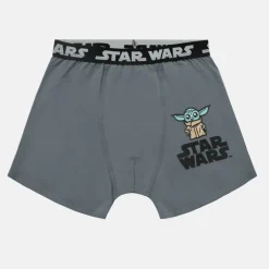 Character 3pk Boxers Junior