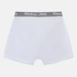 Character 3pk Boxers Junior