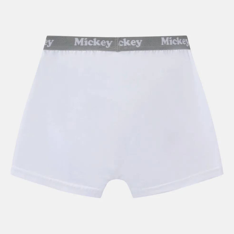 Character 3pk Boxers Junior