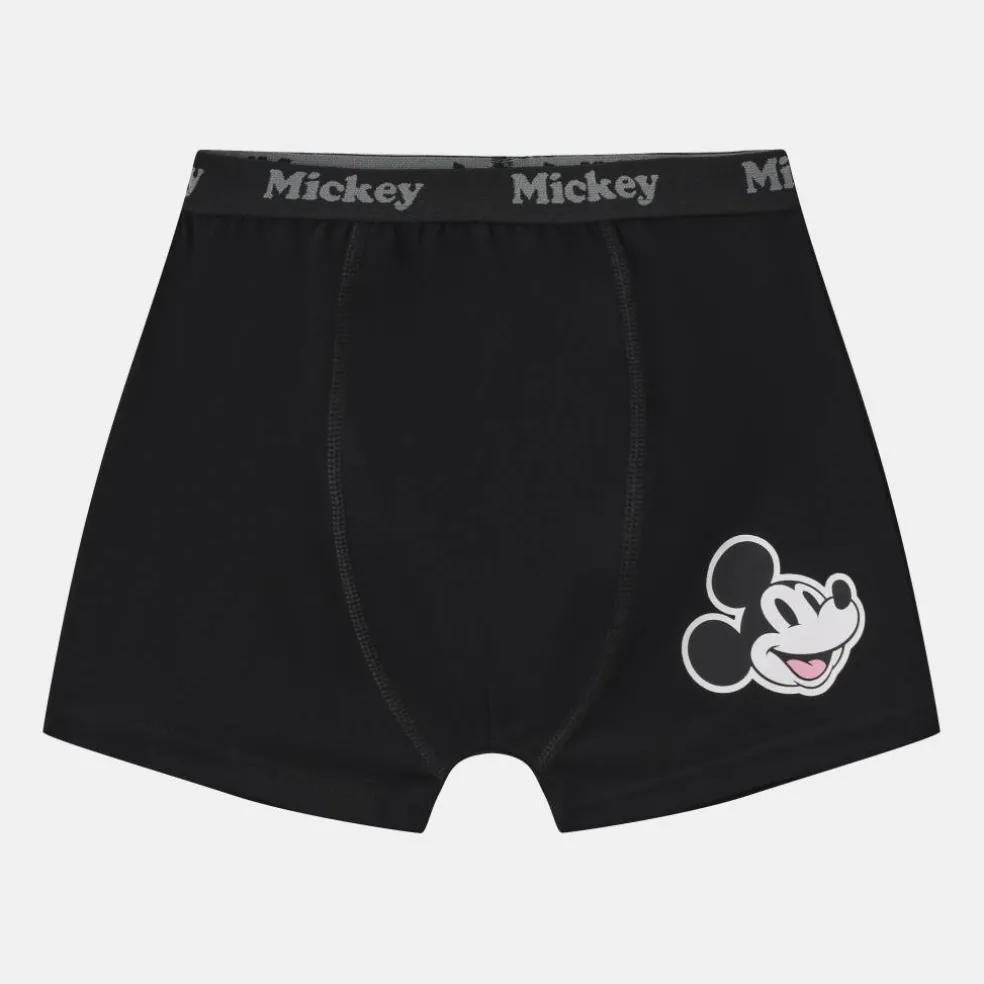 Character 3pk Boxers Junior