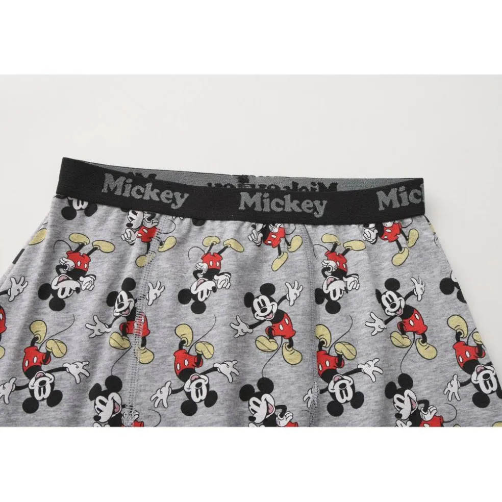 Character 3pk Boxers Junior