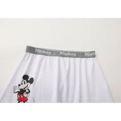 Character 3pk Boxers Junior