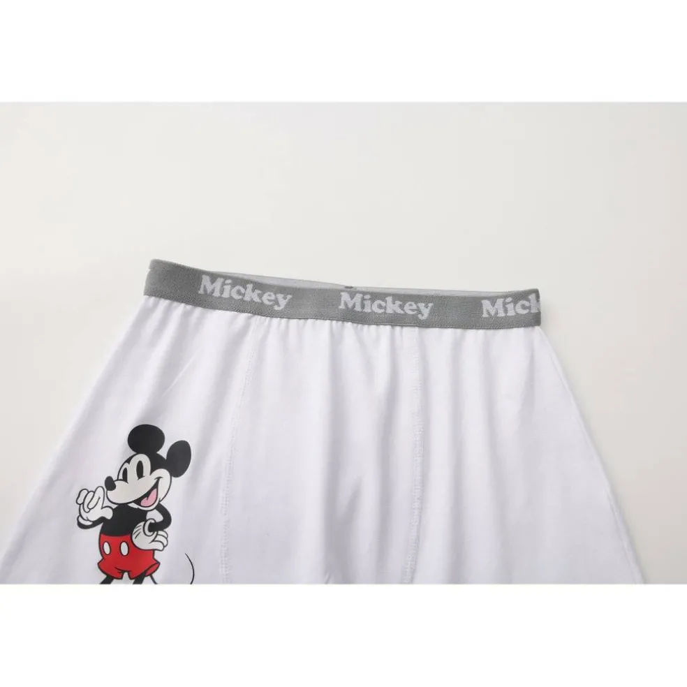 Character 3pk Boxers Junior