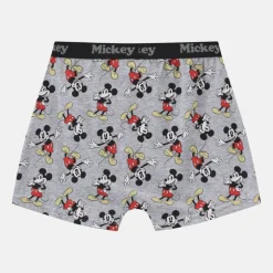 Character 3pk Boxers Junior